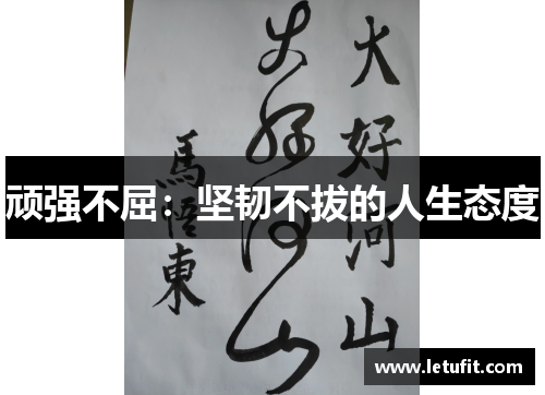 顽强不屈：坚韧不拔的人生态度